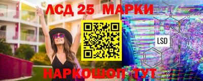 шишки Тверь