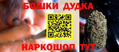 шишки Тверь