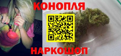 шишки Тверь