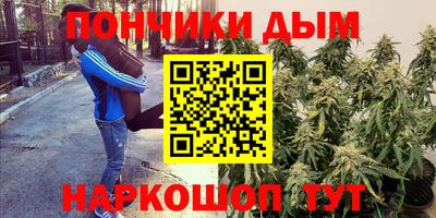 шишки Тверь