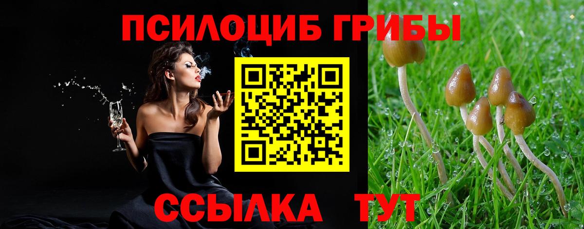 Отрадный  Галлюциногенные грибы мухоморы  Вход с VPN 